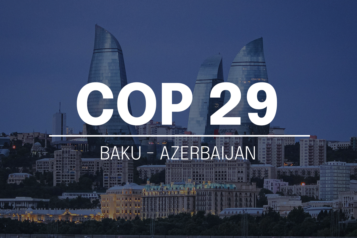 COP 29